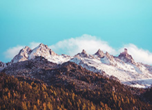 九游官网-广东队记：焦泊乔发挥出色，广东靠防守锁住比赛